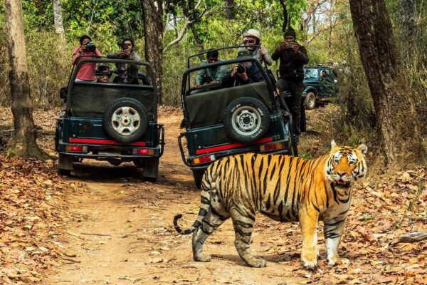 ChitwanJungleSafariTour-KlookIndia
