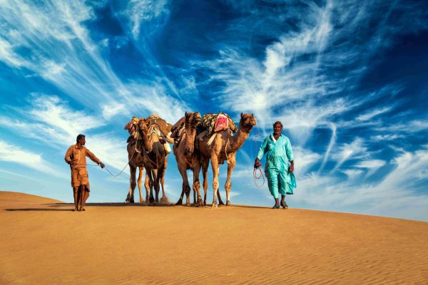 two-cameleers-camel-drivers-with-camels-in-dunes-o-2024-10-17-05-03-37-utc